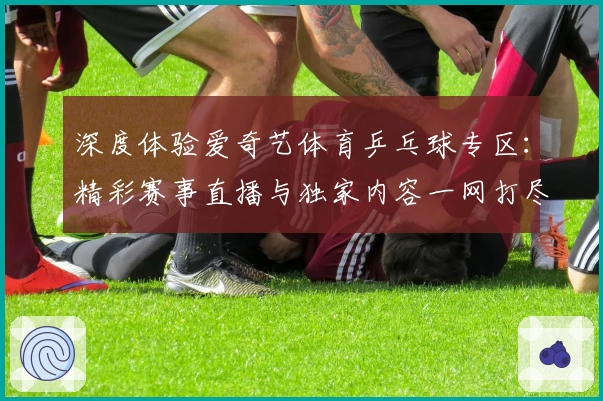 深度体验爱奇艺体育乒乓球专区：精彩赛事直播与独家内容一网打尽