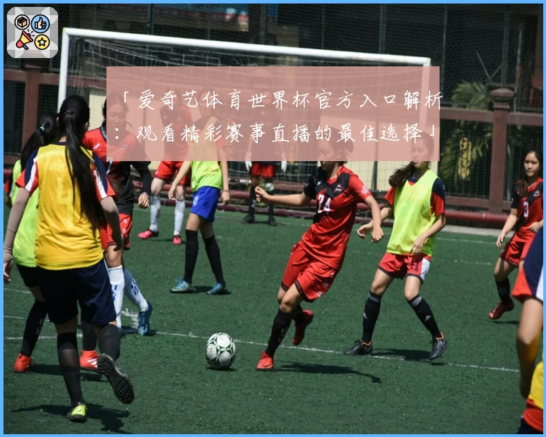 「爱奇艺体育世界杯官方入口解析:观看精彩赛事直播的最佳选择」