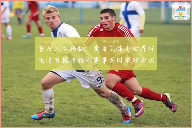官方入口揭秘：爱奇艺体育世界杯高清直播与精彩赛事实时跟踪全攻略